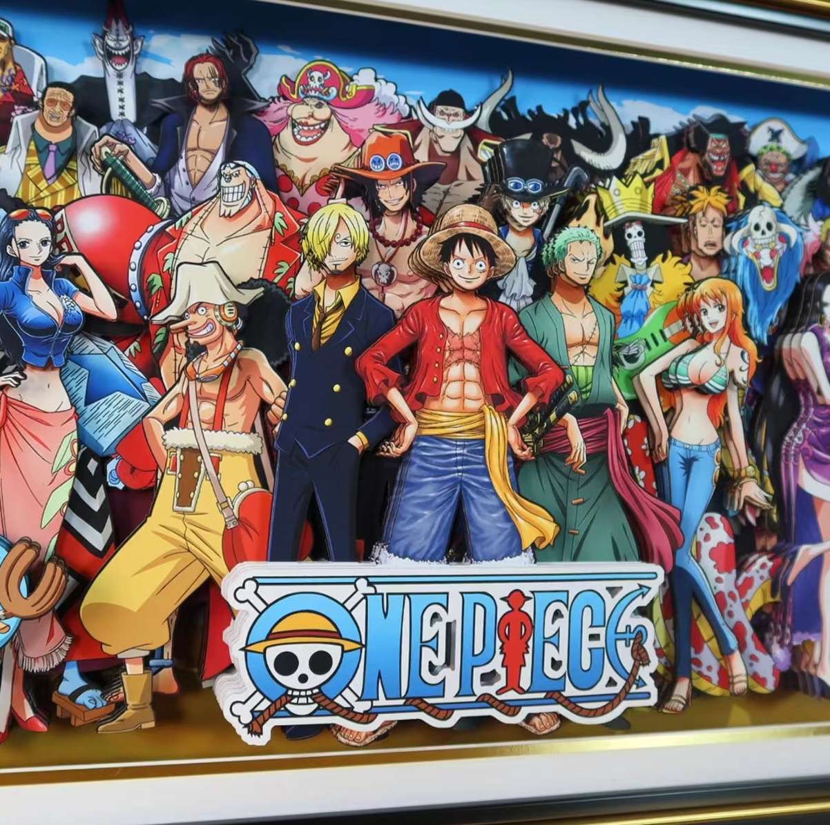 ONE PIECE CANVAS